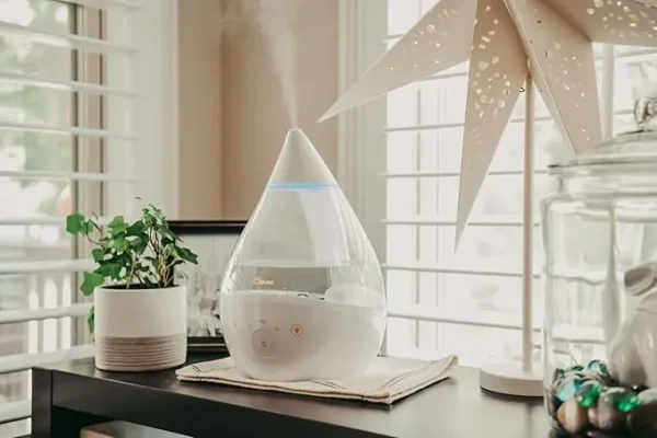 Ultrasonic warm Mist Top Fill Humidifier with Sound Machine