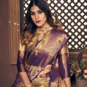 Pattu Sarees kanchipuram kanjivaram Silk Sarees Design