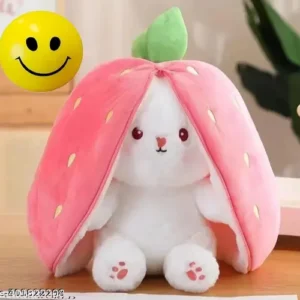 Strawberry Rabbit Teddy Toy, Plushie Bunny, Soft Toy