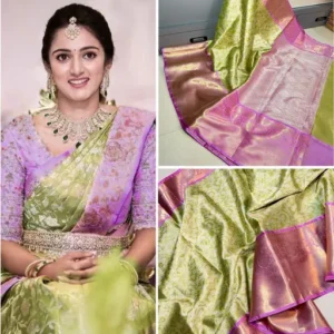 Banarsi Kanjivaram Ultra Soft Tissue Sari