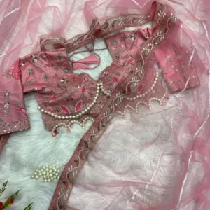 Handloom Saree with Sequins Lace Border