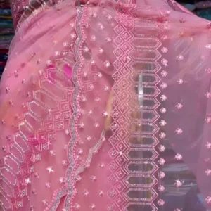 Color Ombre Intricate Original Beads Work Sarees