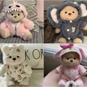 Cute Animal Costume Teddy Bear