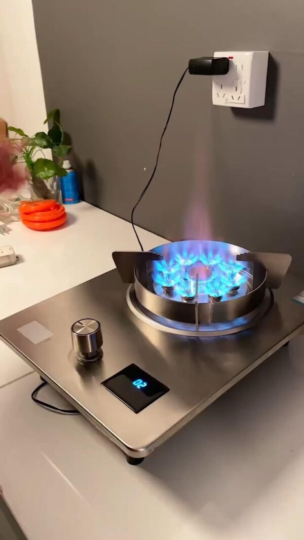 Smart Digital Gas Stove Burner